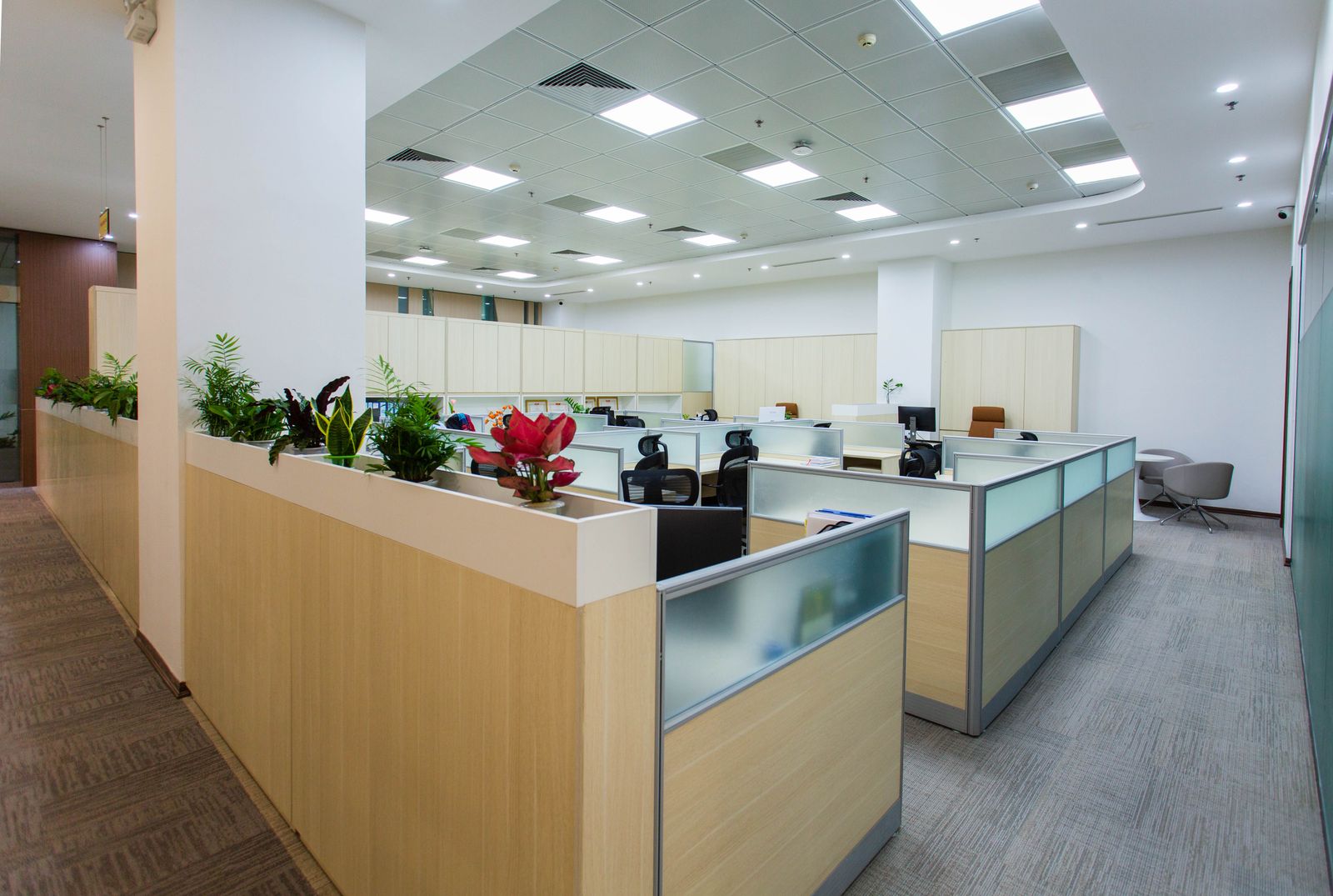 Modern open-plan office interior with workspace cubicles